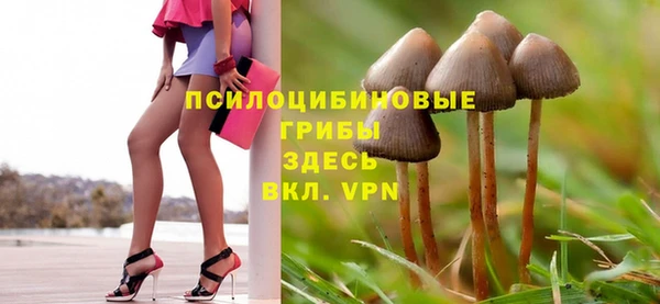спиды Дмитров