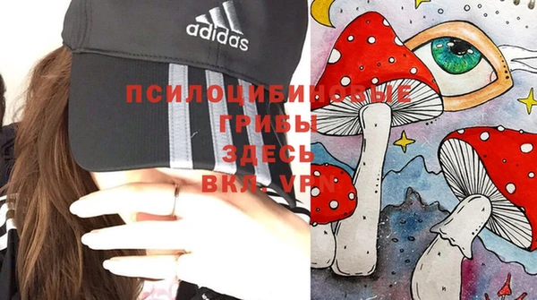 спиды Дмитров