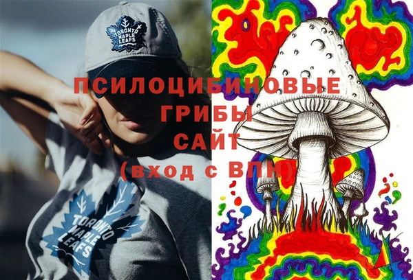спиды Дмитров