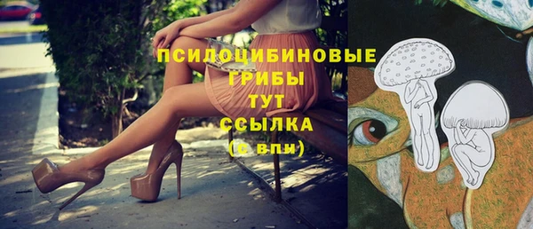 спиды Дмитров