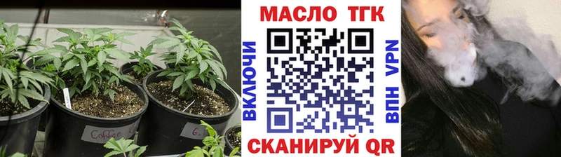 Купить где  Никольск  ТГК концентрат 